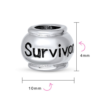 Set of 2 Ribbon Breast Cancer Survivor Message Dangle Charm Bead Silver