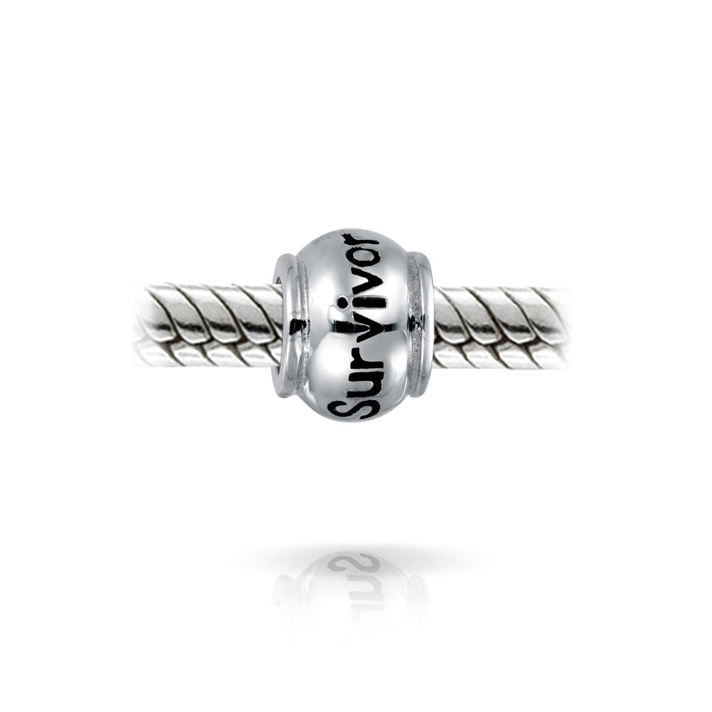 Set of 2 Ribbon Breast Cancer Survivor Message Dangle Charm Bead Silver