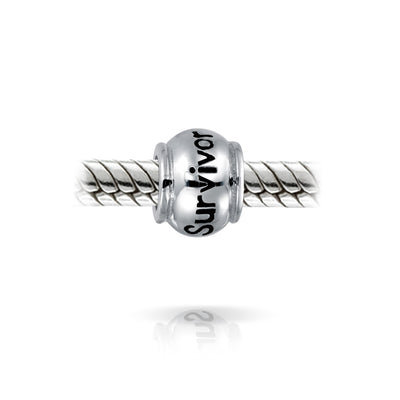 Set of 2 Ribbon Breast Cancer Survivor Message Dangle Charm Bead Silver