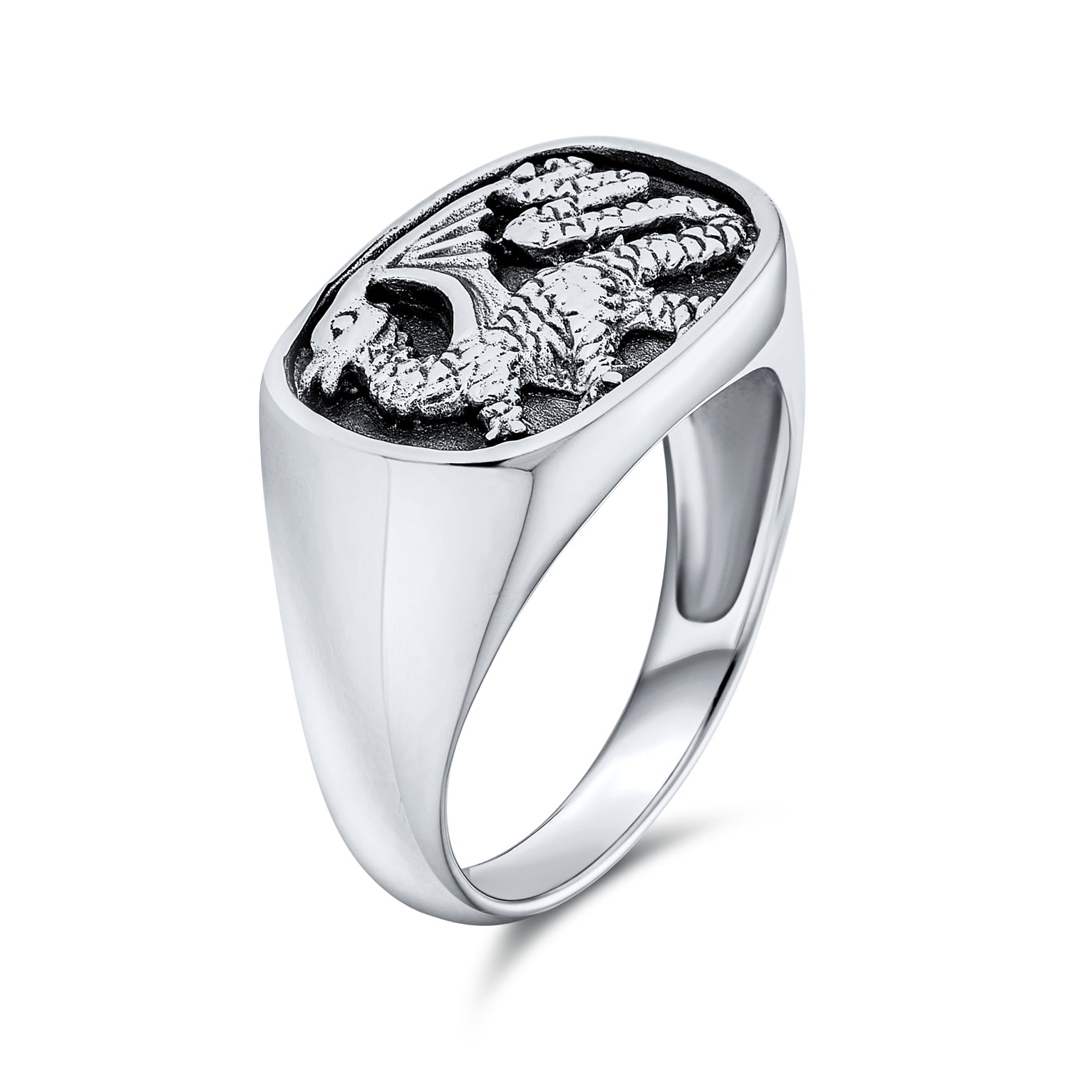 Silver | Image2